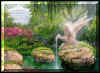 bild147.jpg (24046 Byte)